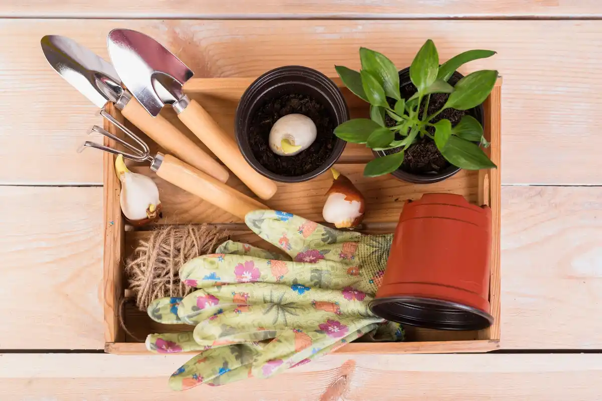 stylish small garden ideas budget
