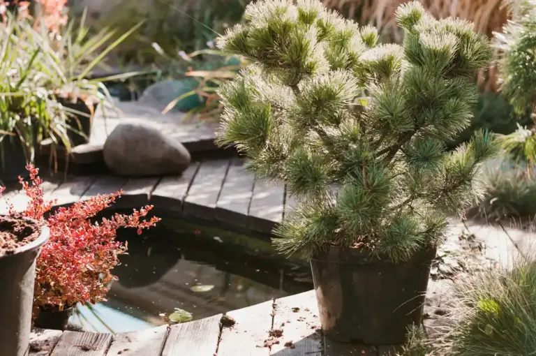 beautiful cozy garden with seating area and plants