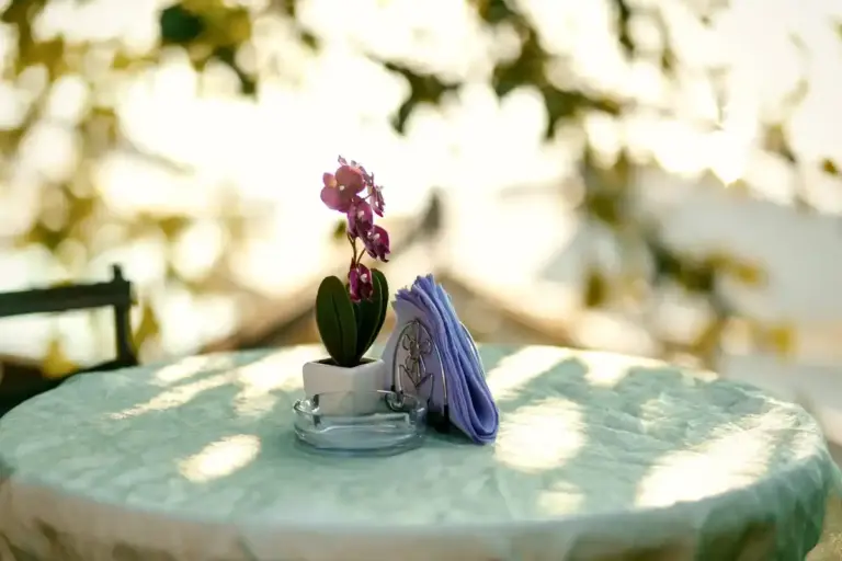 summer garden refresh ideas