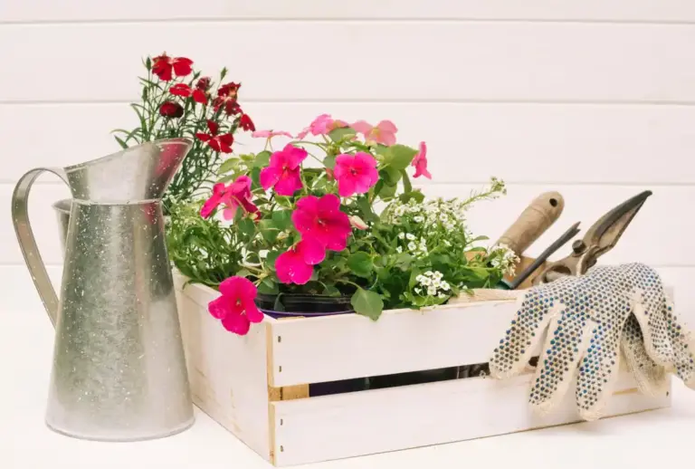 beautiful garden plants and outdoor accessories