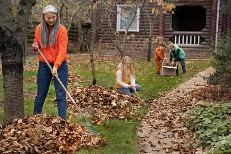 Year-round garden preparation Dutch garden