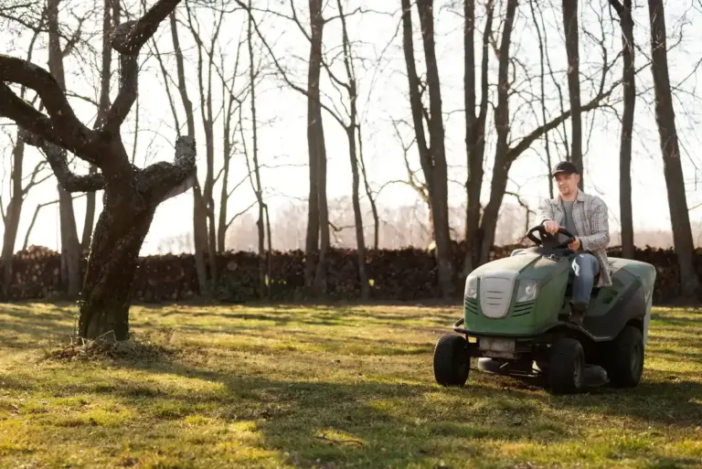 green healthy lawn summer care