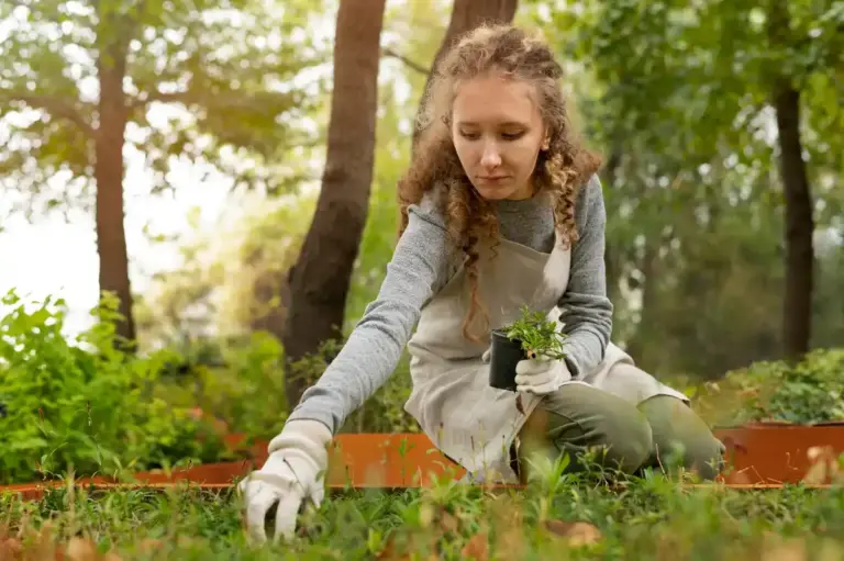 perfect green lawn care tips beginners