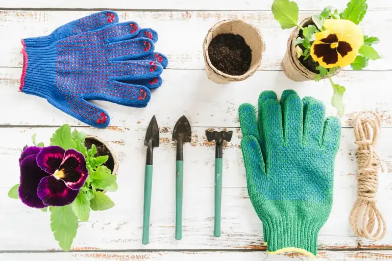 spring pruning ornamental plants garden tools