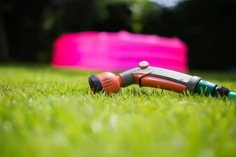 lawn care mistakes garden grass maintenance