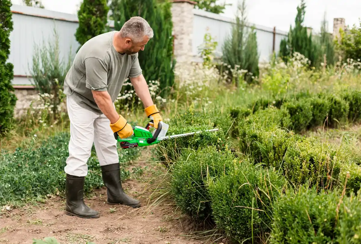 man mowing green lawn garden maintenance