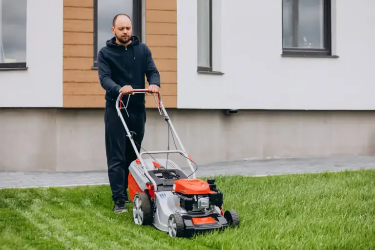 healthy green lawn grass care
