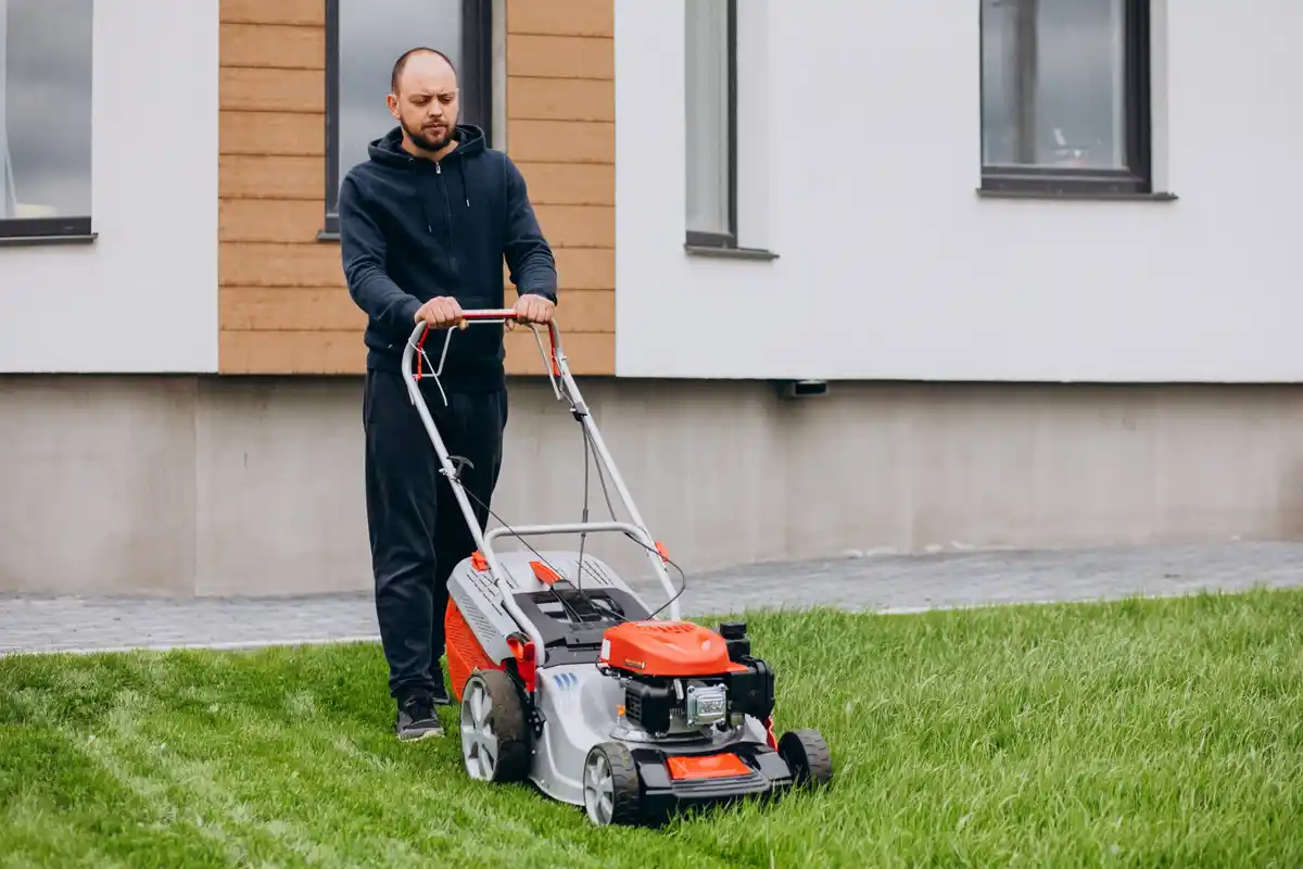 healthy green lawn grass care