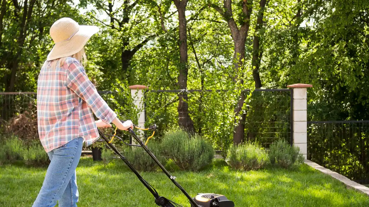 lush green garden lawn maintenance