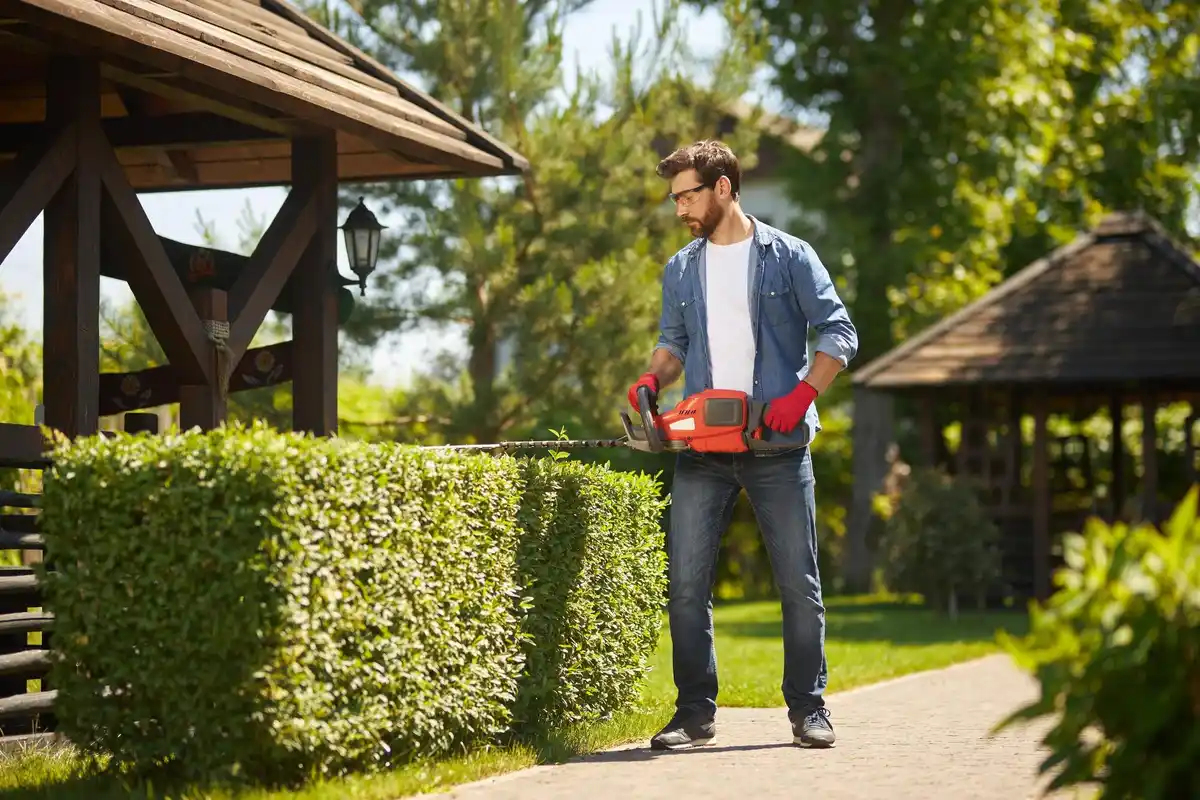 lawn mowing garden Netherlands spring summer