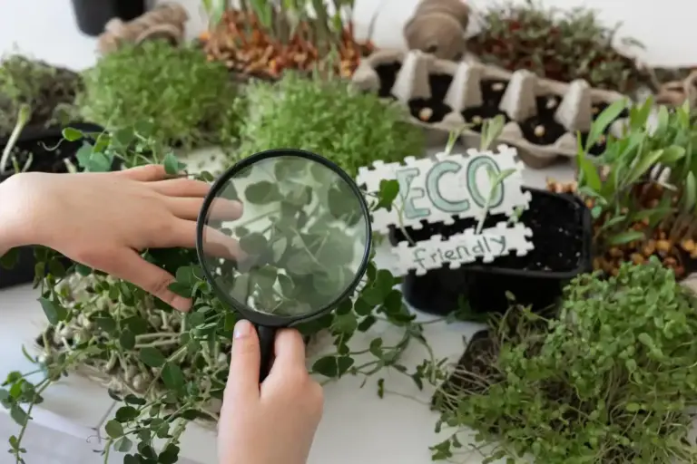 garden plant protection mistakes