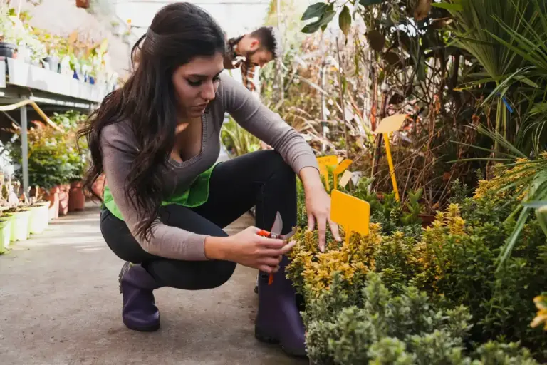 organic companion planting garden pest control