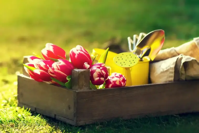 healthy garden vegetables flowers season