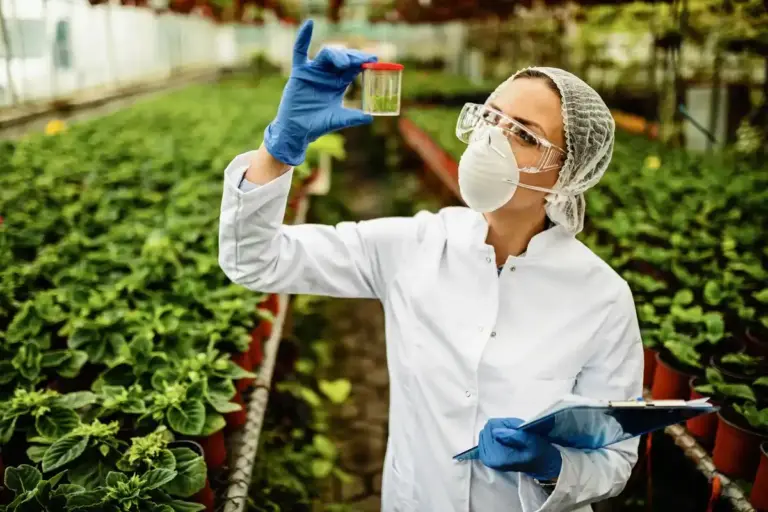 organic vegetable garden pest control