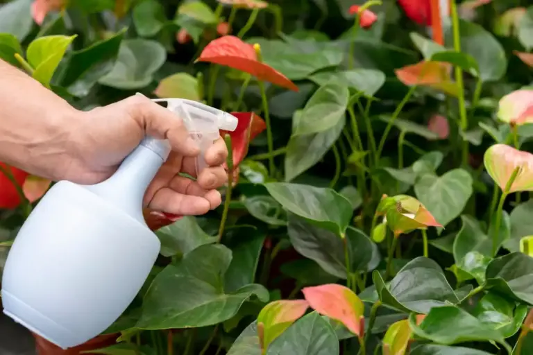 garden plant pest control natural methods