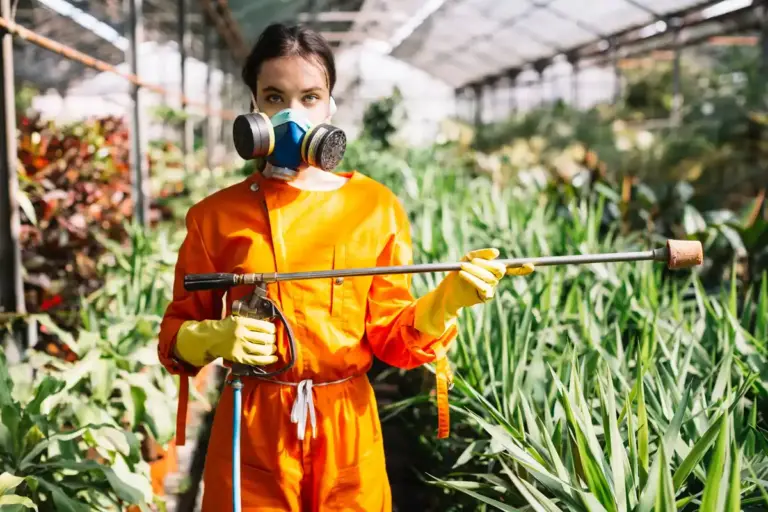 healthy garden pest control practices