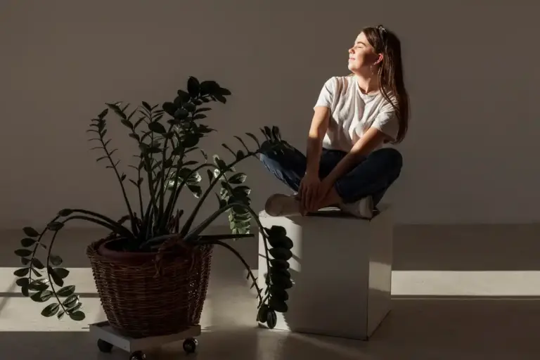 indoor plants growing in natural light