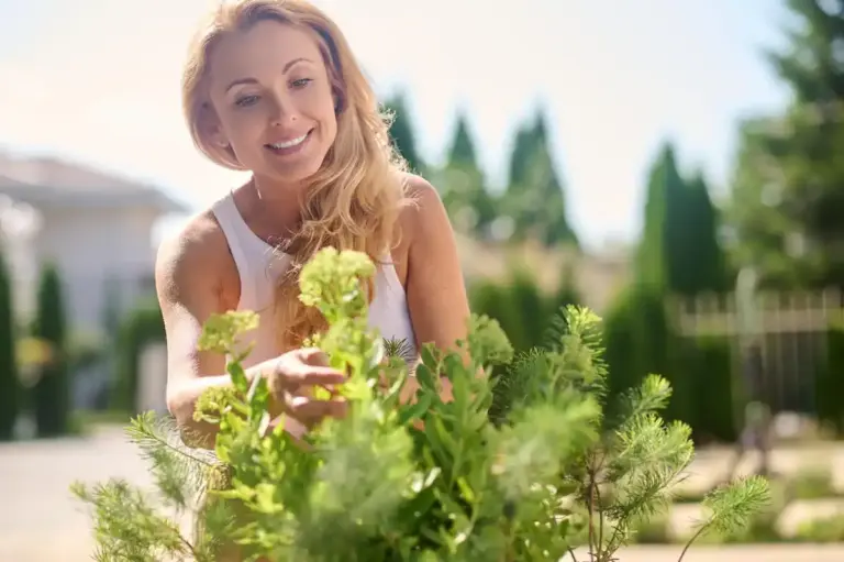 homegrown fresh herbs garden