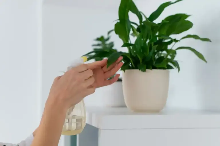 easy indoor plants fresh home