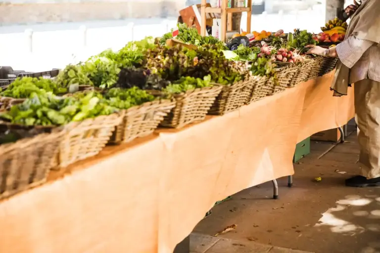 urban vegetable garden with raised beds and mulch