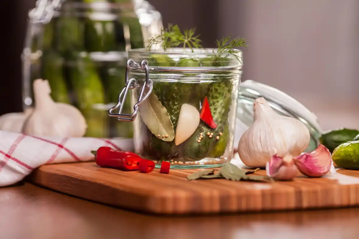 fresh kitchen herbs preservation