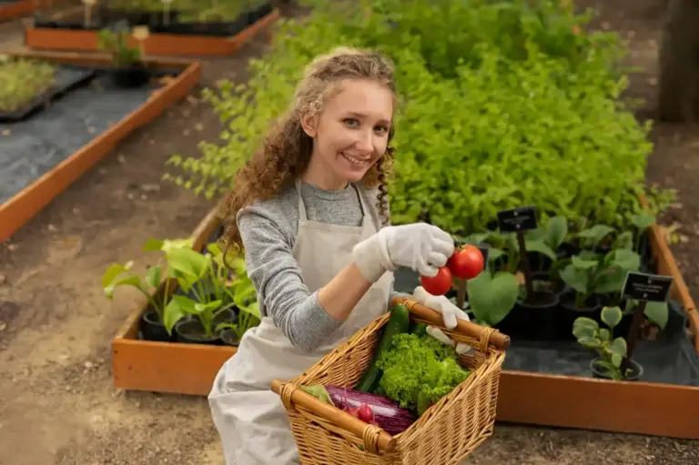 vegetable gardening netherlands backyard