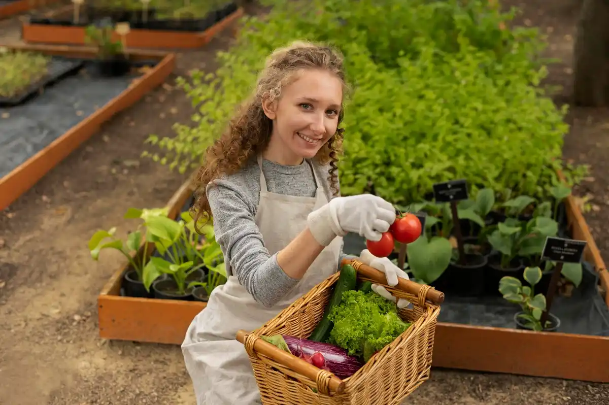 vegetable gardening netherlands backyard