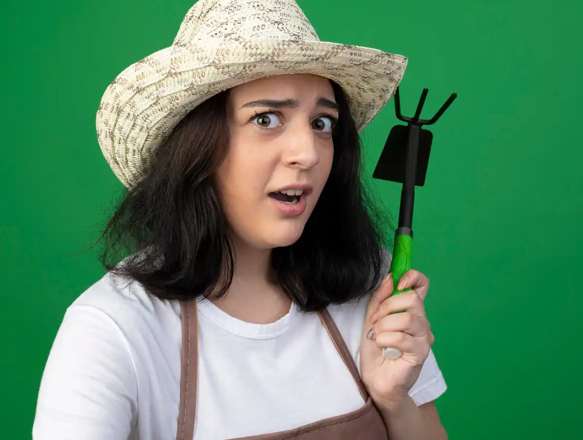 vegetable garden harvest mistakes