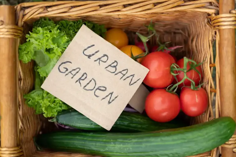 fresh garden harvest storage tips