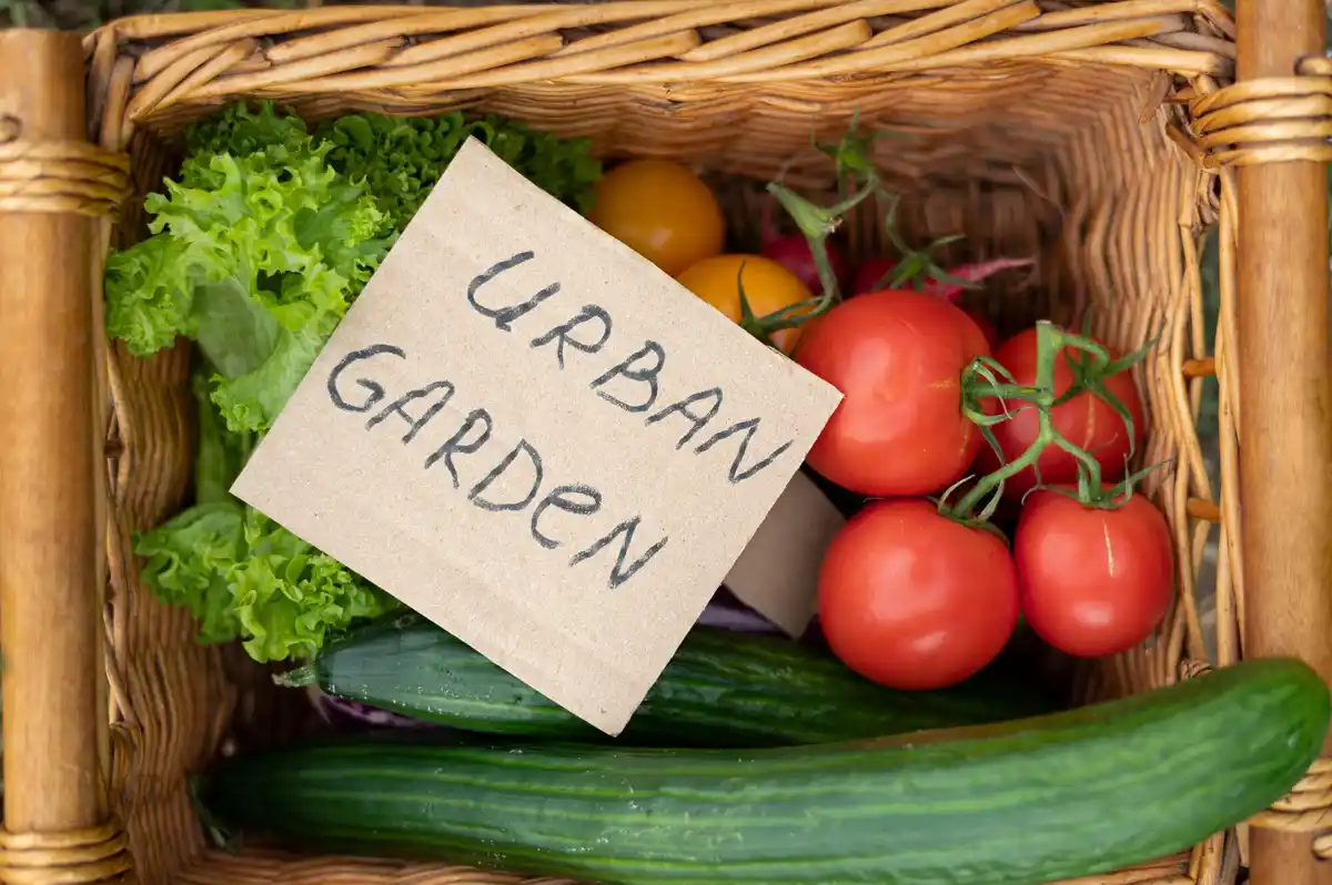 fresh garden harvest storage tips
