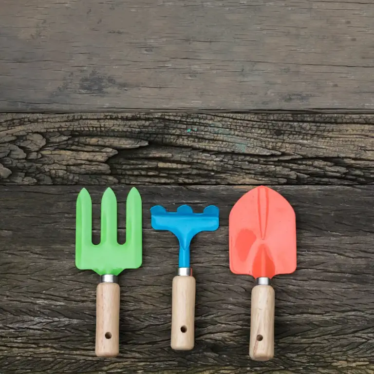 harvesting garden tips tools produce