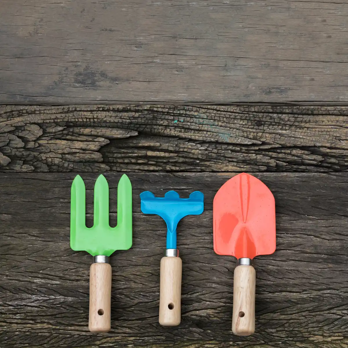 harvesting garden tips tools produce