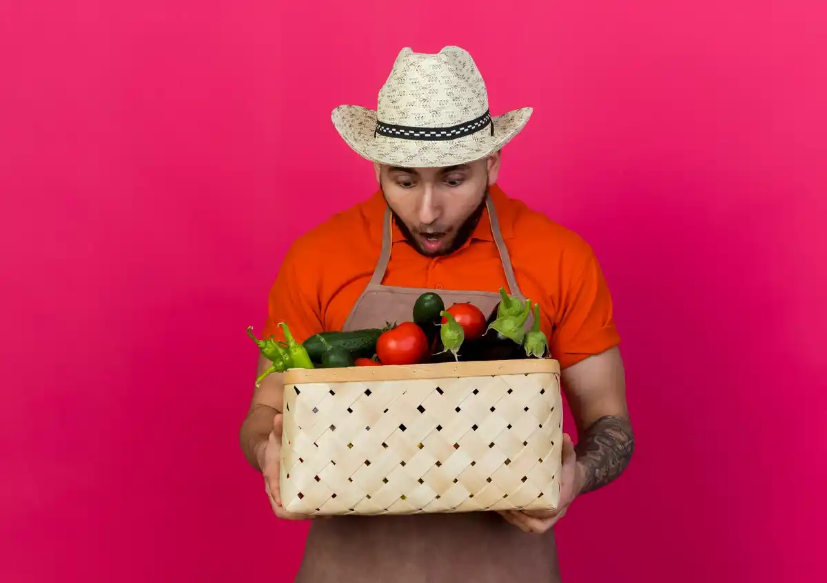 fresh vegetable harvest storage tips