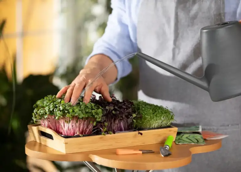 home garden vegetable storage tips