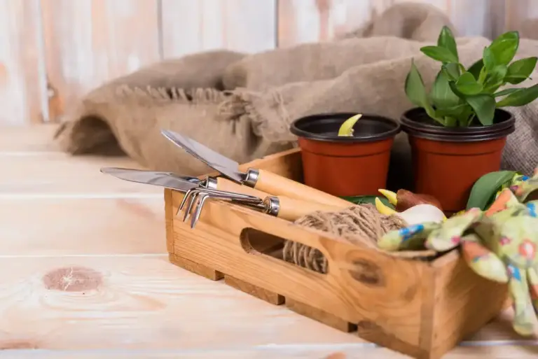 harvesting vegetables garden tools