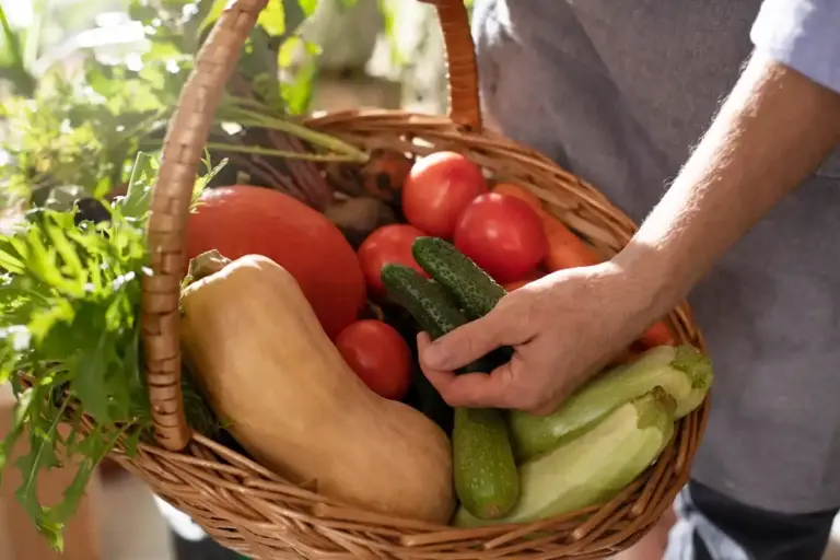fresh garden harvest storage vegetables fruits