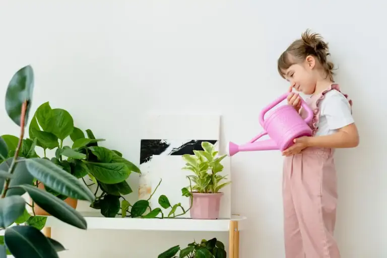 watering balcony plants morning