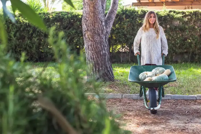 spring lawn care green grass Netherlands