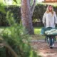 spring lawn care green grass Netherlands