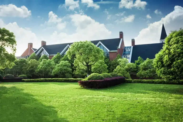 perfect green lawn gardening Netherlands