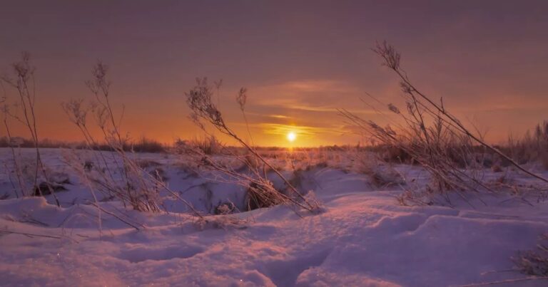 De Magie van de Winterzonnewende: Waarom Deze Dag Bijzonder is!