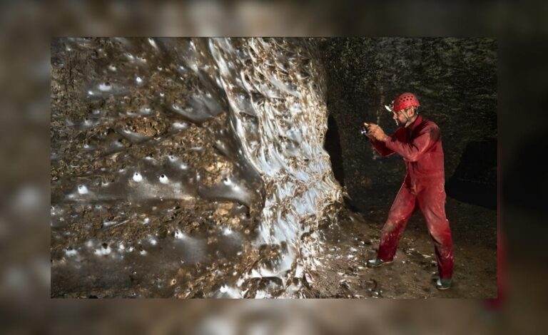 De Ongelooflijke Ontdekking van de Grootste Spinwebe ter Wereld in de Zwelgrot