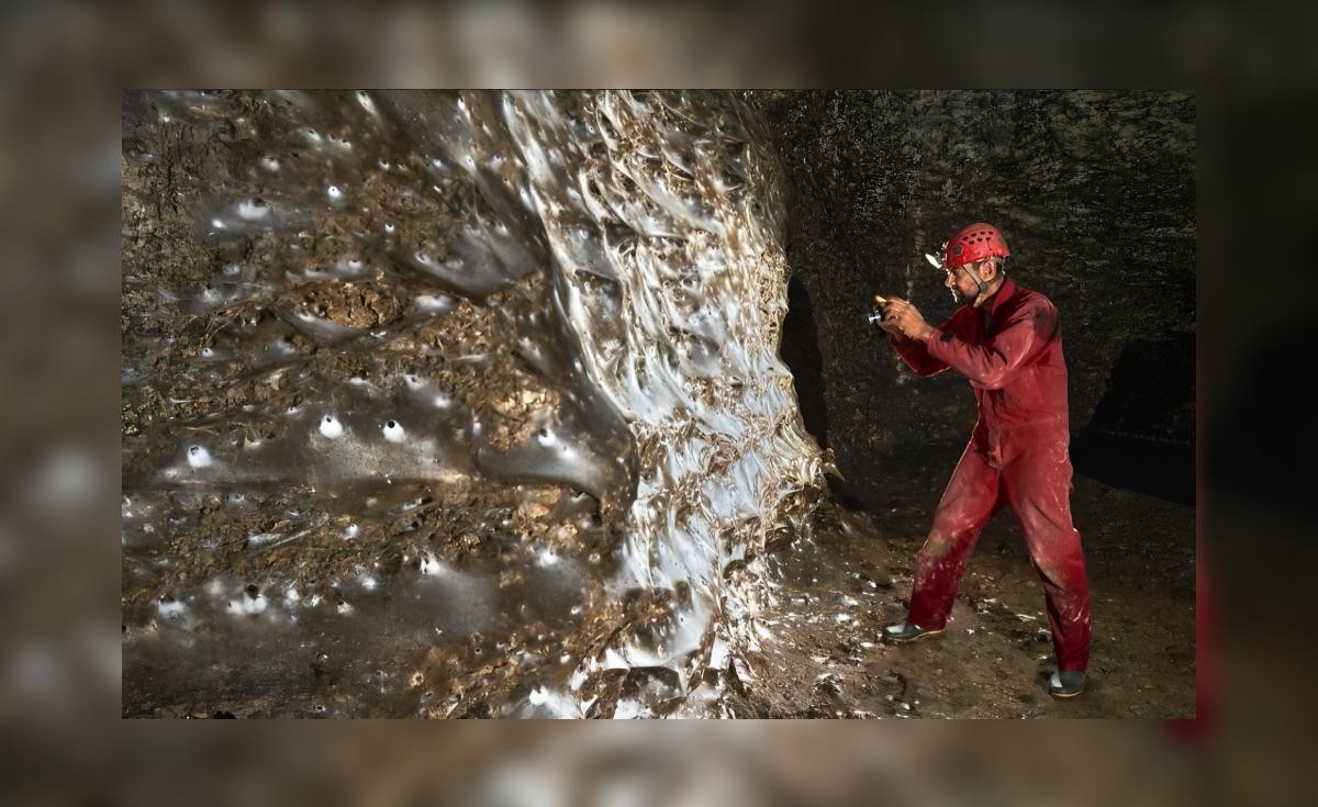 De Ongelooflijke Ontdekking van de Grootste Spinwebe ter Wereld in de Zwelgrot