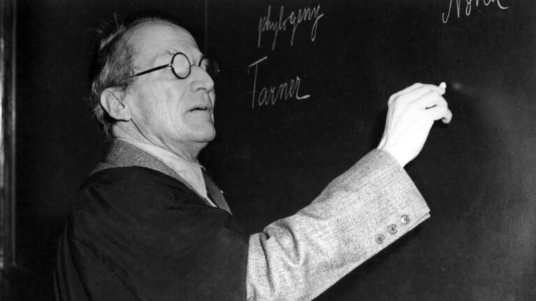 De Onthullingen van de Quantum Revolutie: Hoe Onze Realiteit wordt Uitgedaagd