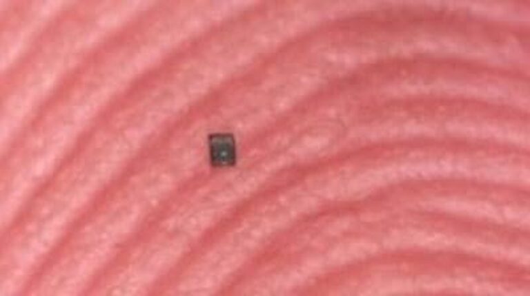 De Toekomst van Robotica: De Kleinste Autonome Robot Tot Nu Toe!