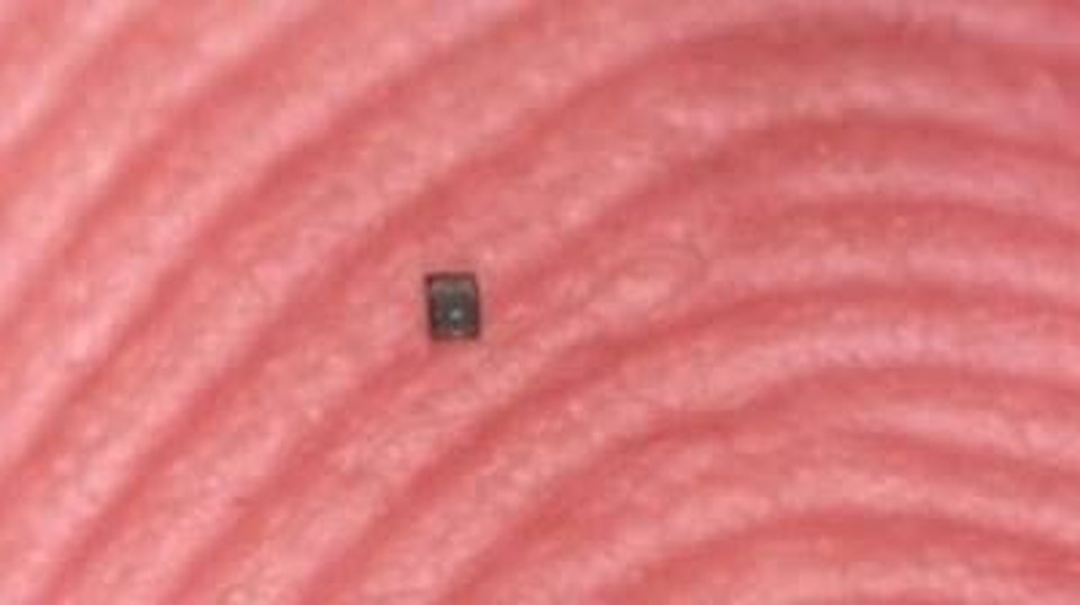 De Toekomst van Robotica: De Kleinste Autonome Robot Tot Nu Toe!