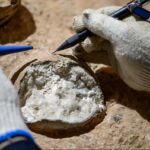 Eerste Directe Datering van Dinosauruseieren: Een Historische Doorbraak!