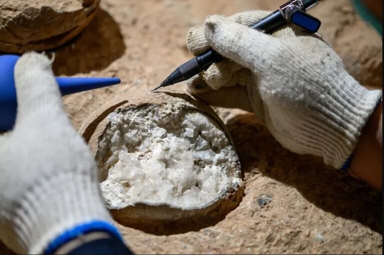 Eerste Directe Datering van Dinosauruseieren: Een Historische Doorbraak!