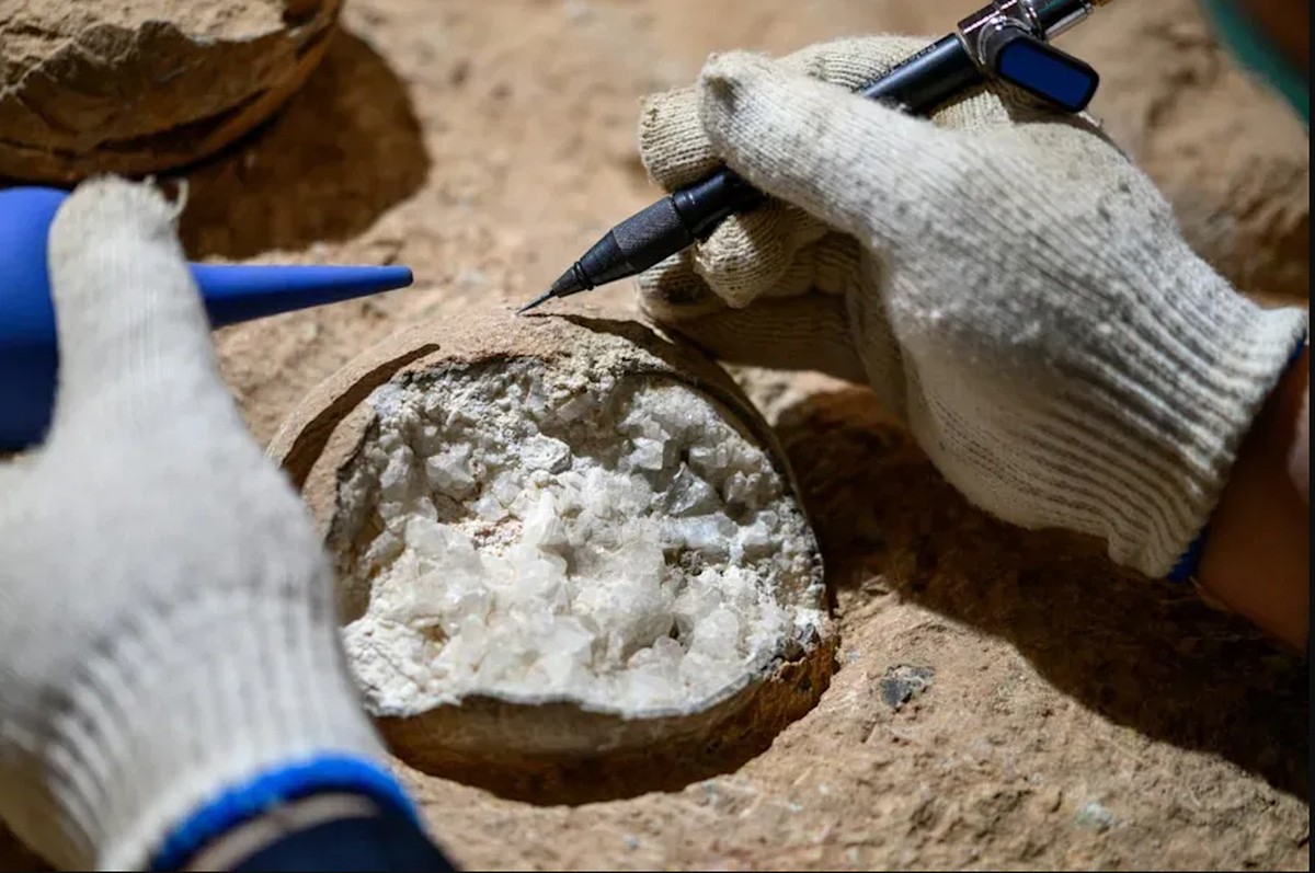 Eerste Directe Datering van Dinosauruseieren: Een Historische Doorbraak!