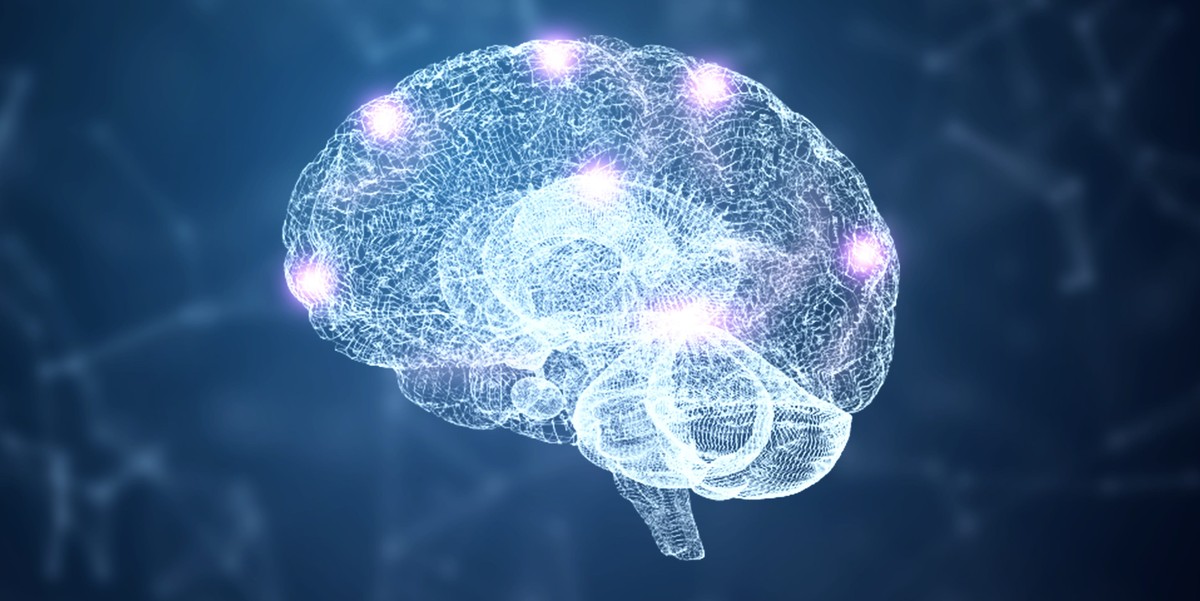 Is een Digitale Hersensimulatiet de Toekomst van Medische Doorbraken?